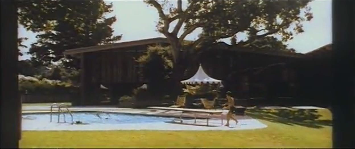 American Look (1958)